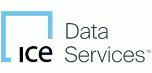 Ice Data Services