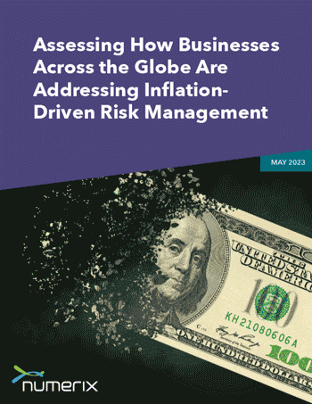 Assessing How Businesses Across the Globe Are Addressing Inflation-Driven Risk Management