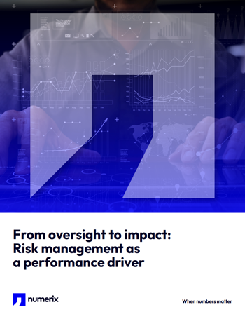 Risk management as a performance driver preview